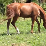Tenuta San Michele Nocleg ze śniadaniem