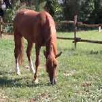 Nocleg ze śniadaniem Tenuta San Michele 4*