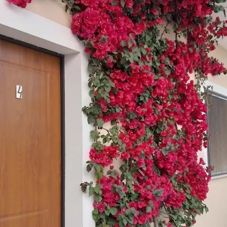 Bed & Breakfast Tenuta San Michele
