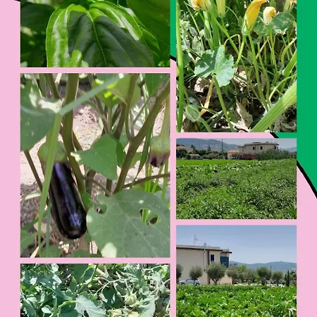 Bed & Breakfast Tenuta San Michele