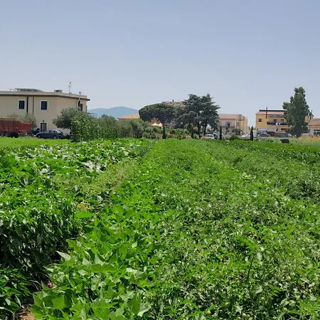 Nocleg ze śniadaniem Tenuta San Michele